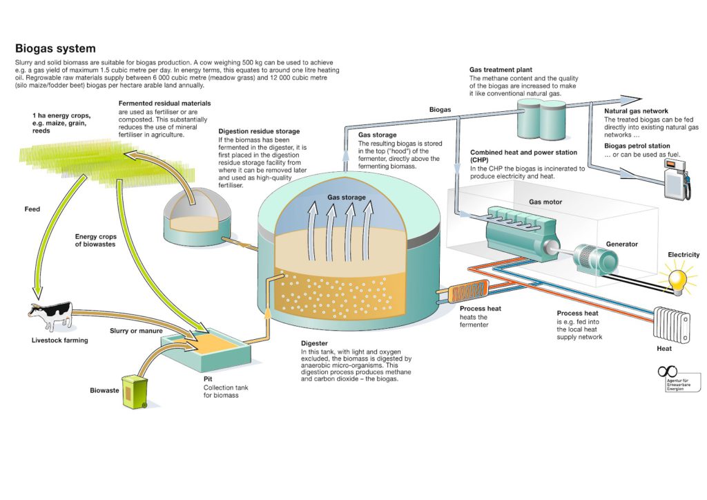 Renewable Natural Gas flow chart illustration