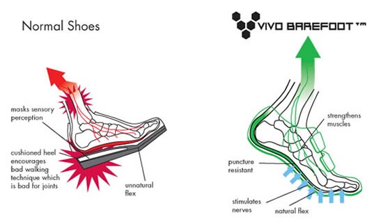 normal shoe vs vivo barefoot comparison