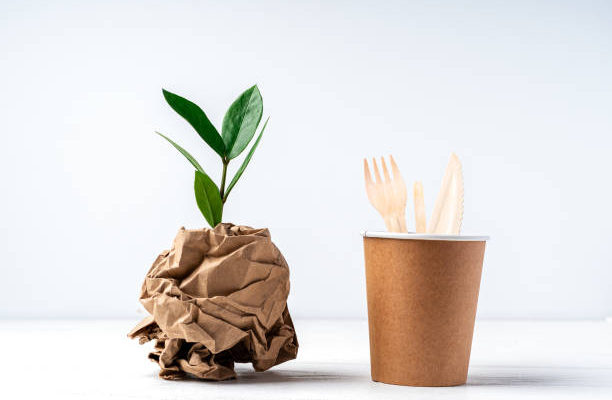 paper cup and plant holder