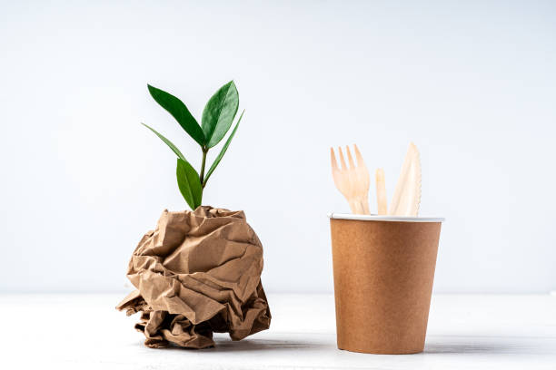 paper cup and plant holder