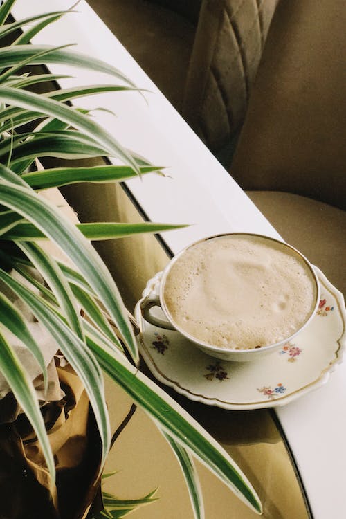 coffee cup beside green plant