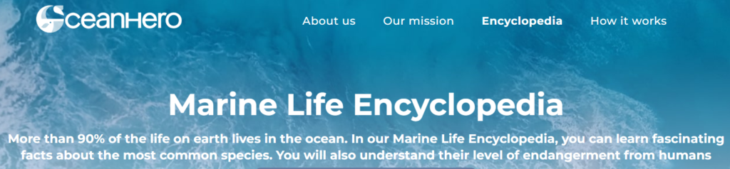 OceanHero search engine