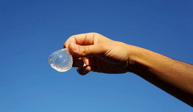 person holding round shaped edible water carrier