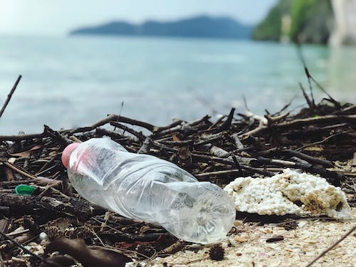 plastic water bottle lying in trash