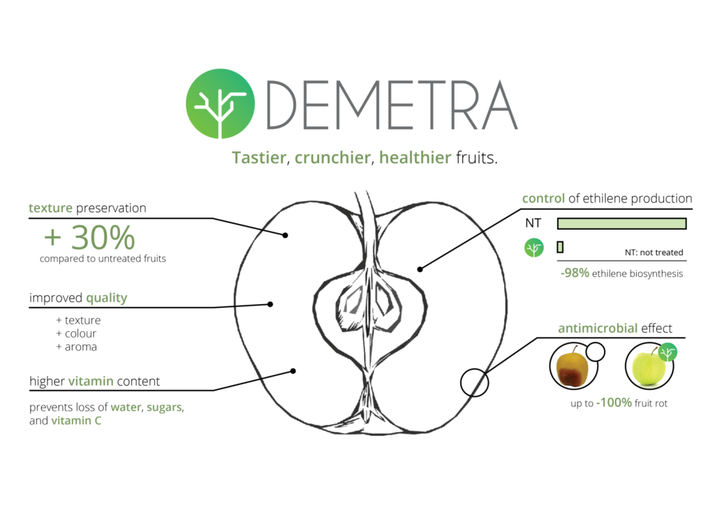 DEMETRA brands fruit chart with necessary information of apple