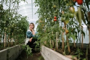 women sitting inside a indoor vegetable garden