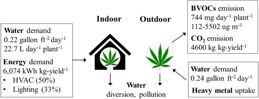 Environmental Impact of Cannabis Production