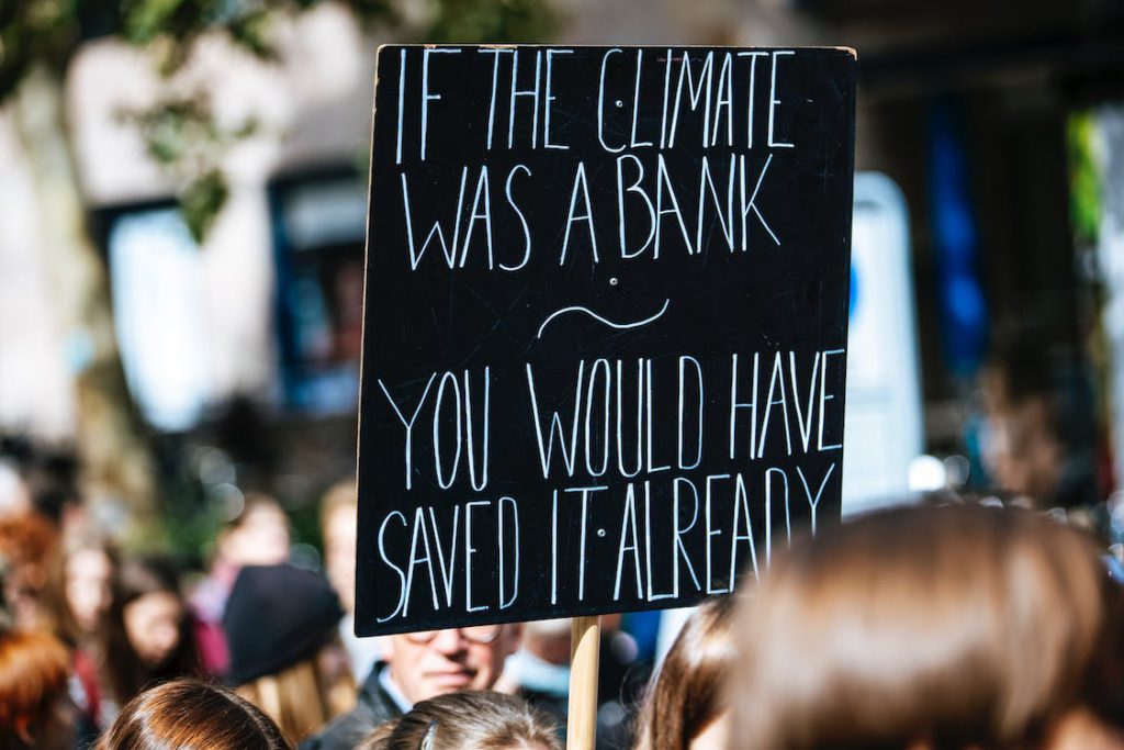 climate saving protest placard