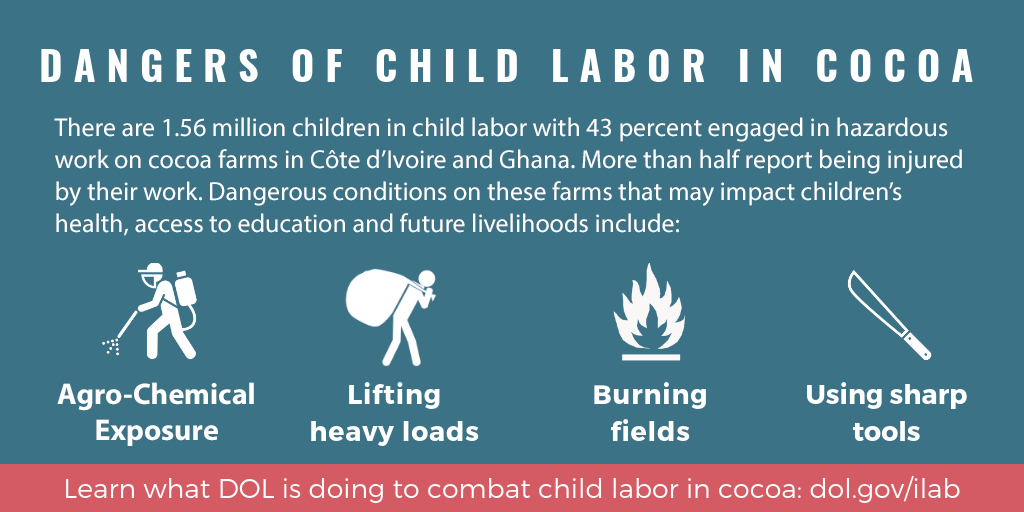 Danger of child labor in cocoa