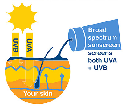 how does sunscreen work