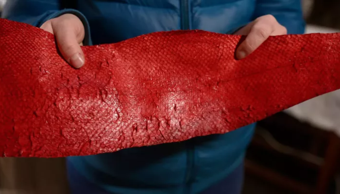 Fins to Fashion: Unveiling the Sustainable Beauty of Fish Leather