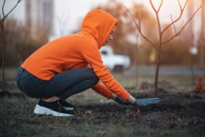 Planting Trees to Offset Carbon Footprint