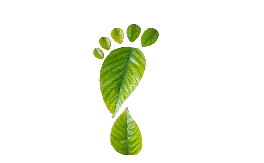 Understanding Carbon Footprints in Consumer Products