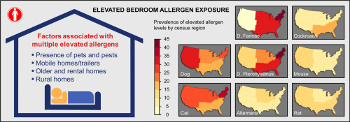 elevated bedroom allergen exposure