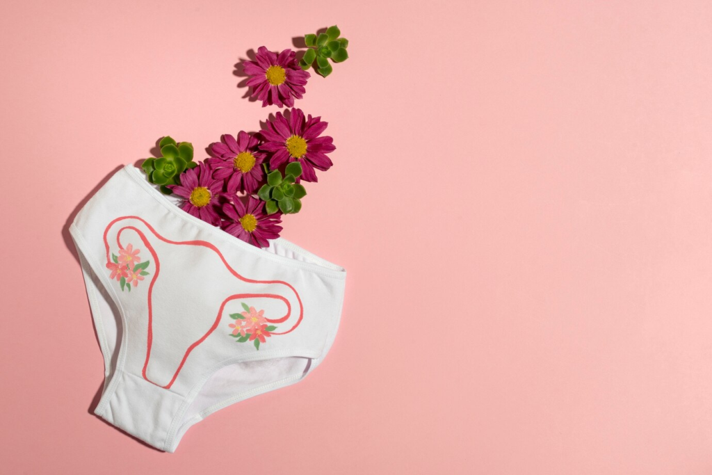 Period Panties