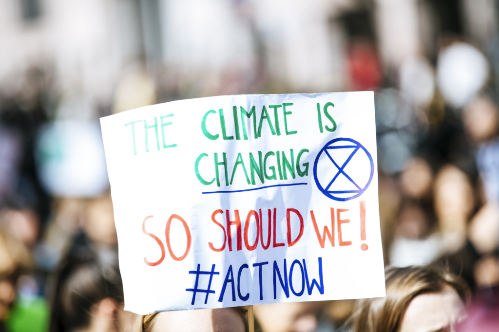 climate change protest placard