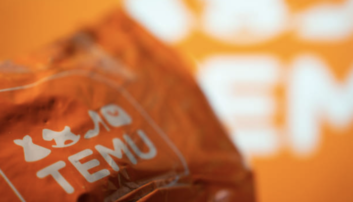 Sustainable Shopping vs Temu