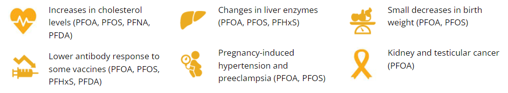 medical issues related to toxic material of sofa