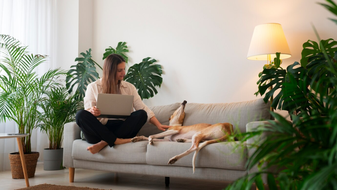 6 Non Toxic Sofa Selections for a Healthier and Comfier Lounging