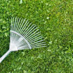 Composting Grass Clippings and Harnessing the Power of Grass Decomposer