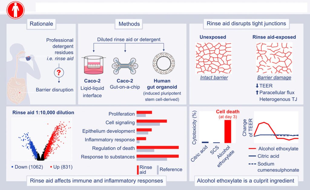 Residual Chemicals on Dishes