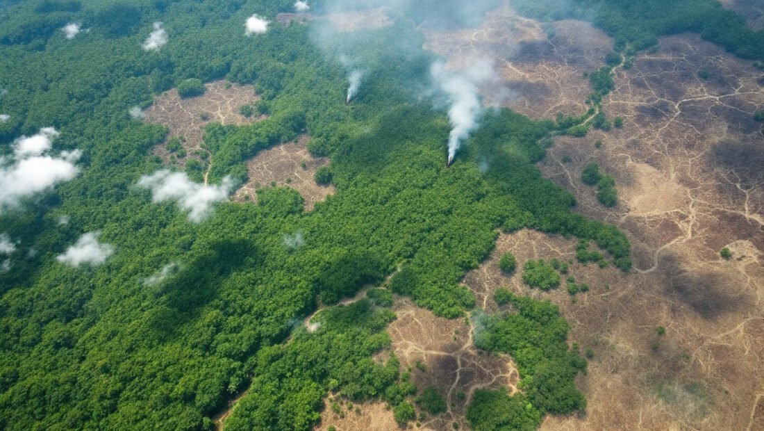 Deforestation from Satelite view