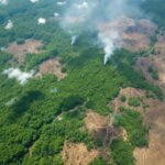 Deforestation from Satelite view