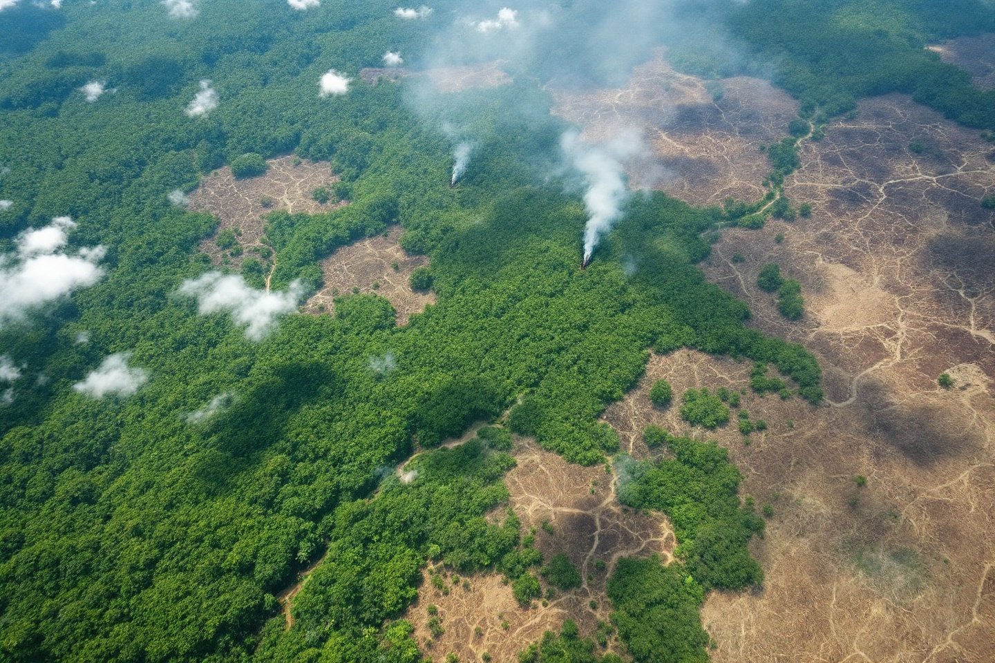 Deforestation from Satelite view